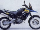 Suzuki DR 800S Big